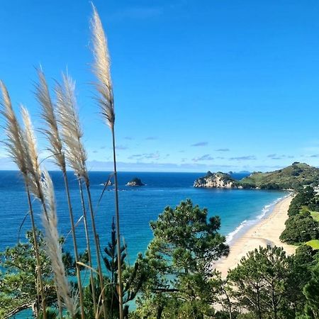 Hahei Views Villa Luaran gambar